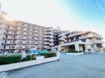 {sΐؒ1ڂ̓}V̌nOώʐ^