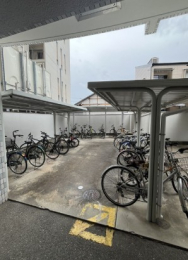 �����������s�����捕��̓����}���V�����̂��̑����n