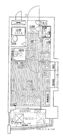 �����������s�����捕��̓����}���V�����̊Ԏ��}