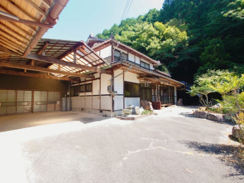 ���Ɍ����p�S���p���L���̌ˌ����݂̌��n�O�ώʐ^