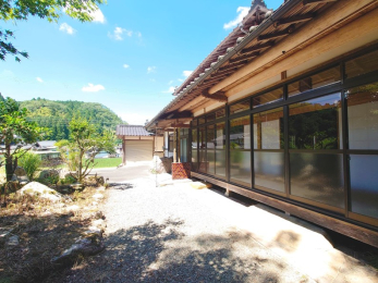 ���Ɍ����p�S���p���L���̌ˌ����݂̌��n�O�ώʐ^