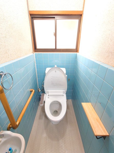 ���Ɍ����p�S���p���L���̌ˌ����݂̃g�C��