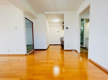 ���{���s���Z�g��k�c��5���ڂ̓����}���V�����̂��̑�����