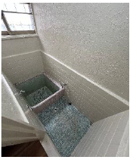 ���Ɍ��_�ˎs�{����s�K��4�̌ˌ����݂̉摜