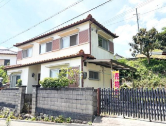 {ݘacš͍ˌ݂̌nOώʐ^