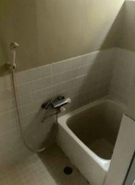 ���{�哌�s����̗����̌ˌ����݂̗���