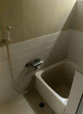 ���{�哌�s����̗����̌ˌ����݂̗���