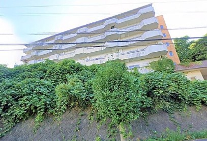 �ΐ쌧�����s��z���̓����}���V�����̌��n�O�ώʐ^