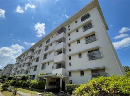 ɌΎsvےu31-1-9̓}V̌nOώʐ^