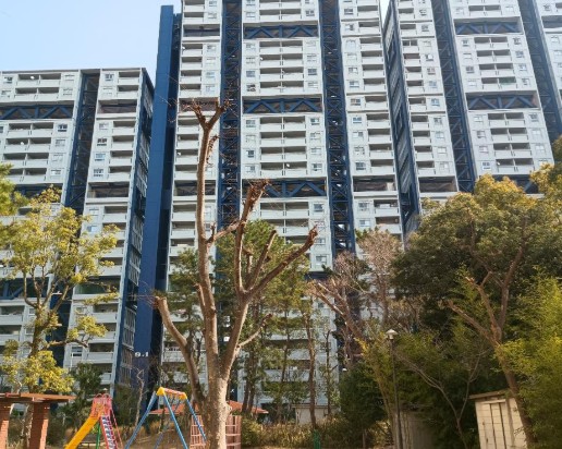 Ɍsl9-1̓}V̌nOώʐ^