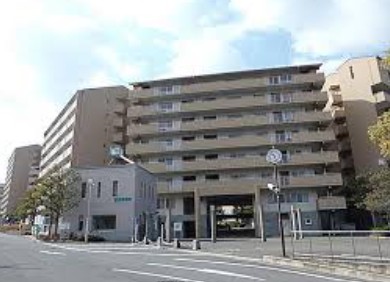 {xcюsz3-3̓}V̌nOώʐ^