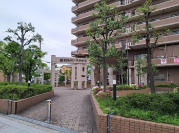 {s敽쌳8-15̓}V̌nOώʐ^