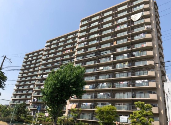 {sZV]敽ѓ26-54̓}V̌nOώʐ^