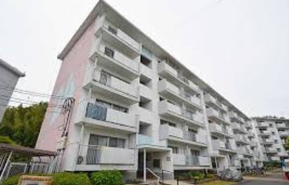 {sߑ25-45̓}V̌nOώʐ^