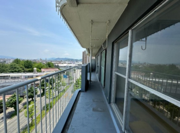 a̎Ra̎RsV1543̓}ṼoRj[