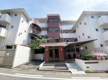 {cs]⒬512-11̓}V̌nOώʐ^