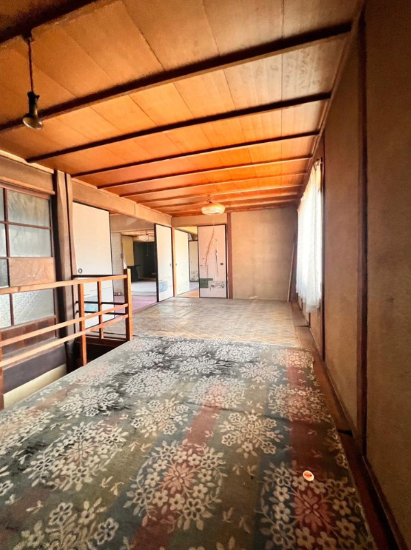 ɌPHsp441-2̌ˌ݂̉摜