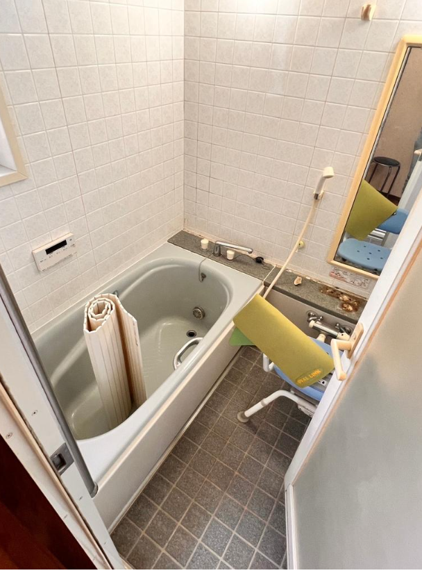 ɌPHsp441-2̌ˌ݂̉摜