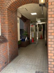 {sJ519-1̓}V̌nOώʐ^