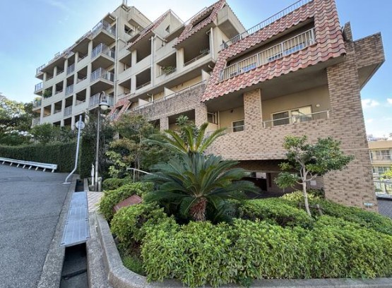 ɌΎs呠J̓}V̌nOώʐ^