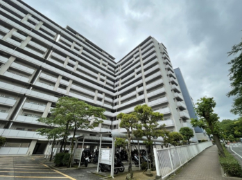 {㋷RsF7ڂ̓}V̌nOώʐ^