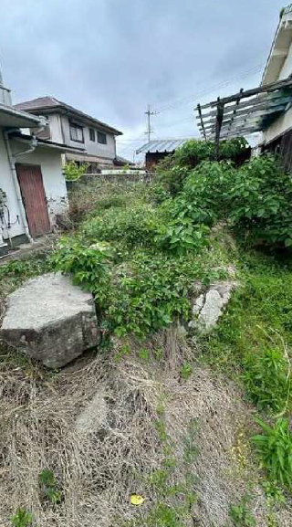 �a�̎R���a�̎R�s�h�J�̓y�n�̉摜