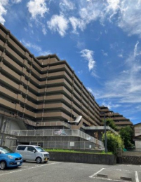 ɌPHsh6ڂ̓}V̌nOώʐ^