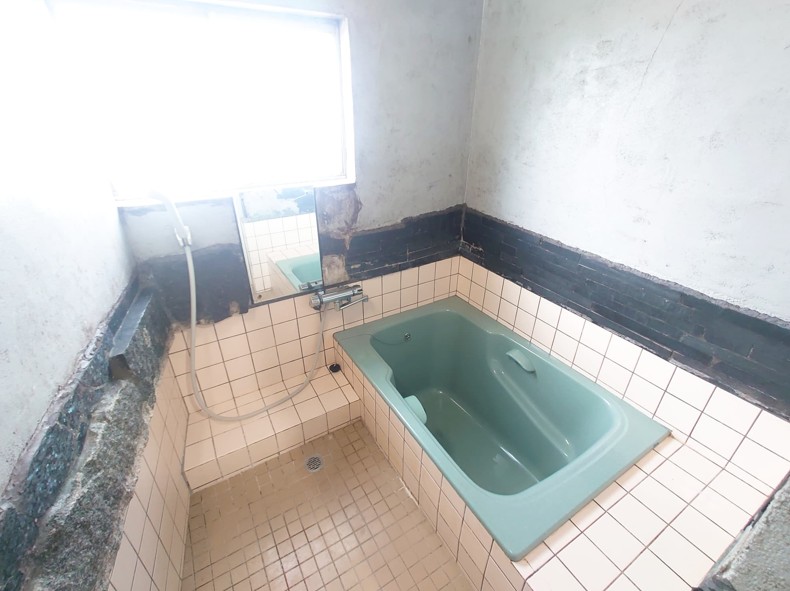 ���Ɍ������s�L�q���̌ˌ����݂̗���